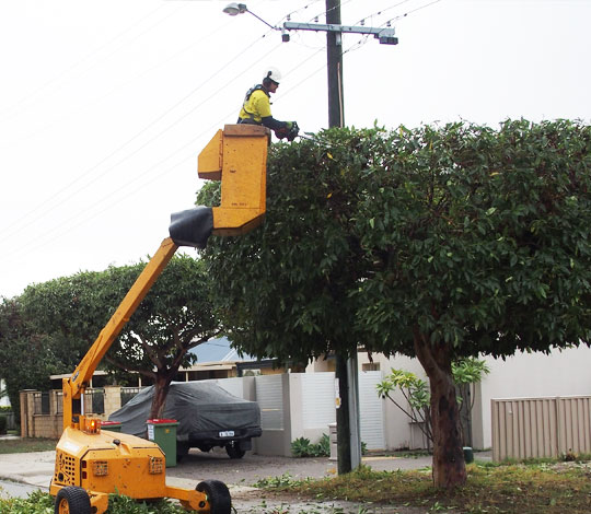 Powerline Clearing near me, Powerline Clearing , Powerline Clearing Perth, Powerline Clearing Malaga, Powerline Clearing Wanneroo, Powerline Clearing Joondalup, Powerline Clearing Nowergup