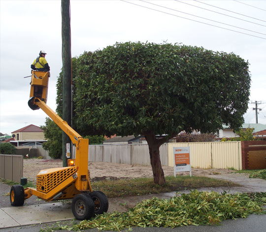 GTS - Geoff's Tree Service are an experienced tree service company in Perth providing the economical tree trimming and tree pruning; so get a free quote now